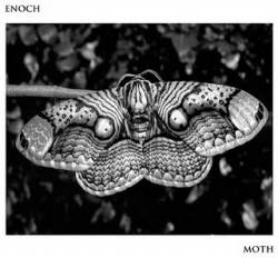 Enoch (USA) : Moth